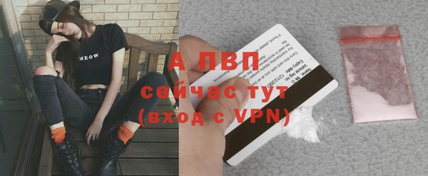 гашик Абинск