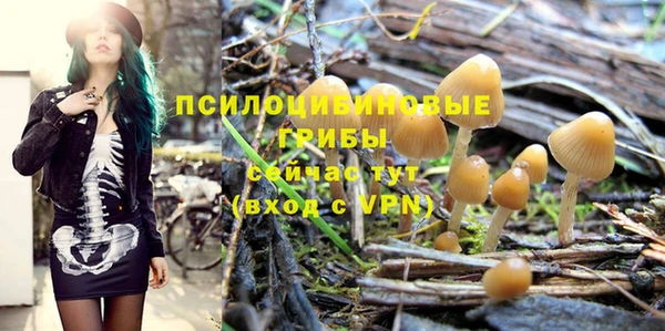 ГАЛЛЮЦИНОГЕННЫЕ ГРИБЫ Карпинск