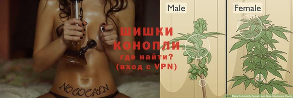 гашик Абинск