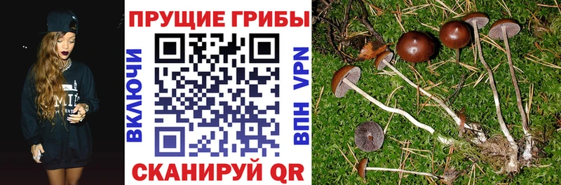 Галлюциногенные грибы Magic Shrooms  закладка  Южноуральск 